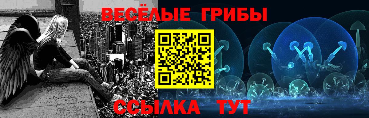 где купить наркотик  Вход с VPN  Ахтубинск  Псилоцибиновые грибы GOLDEN TEACHER 