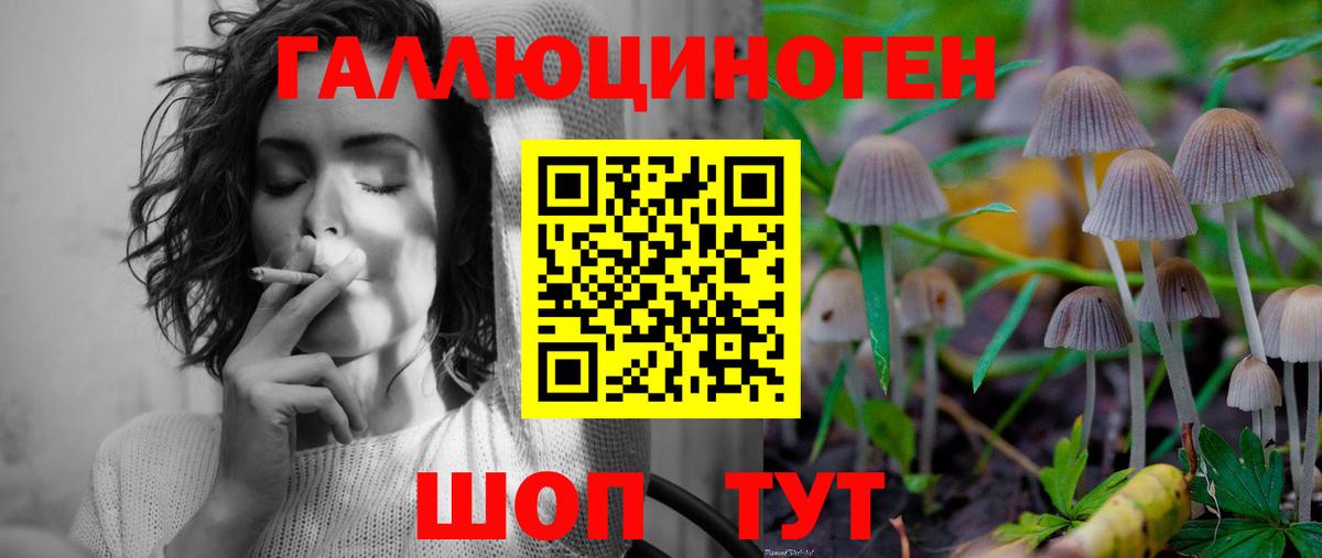 Галлюциногенные грибы ЛСД Ахтубинск