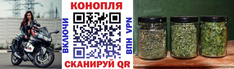 Бошки марихуана SATIVA & INDICA  Ахтубинск 